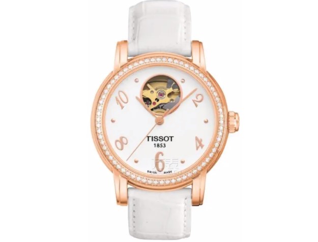 天梭手表表带如何挑选(表带常见类型)(图) 天梭手表表带如何挑选(表带常见类型)(图)